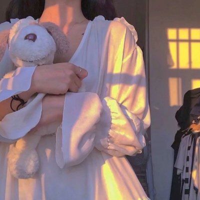 龙族：救援骑士